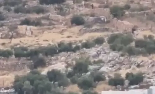  فیلم/ لحظه تیراندازی صهیونیست‌ها به اهالی روستای فلسطینی
