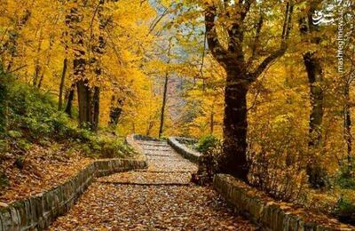 قابی زیبا از قلعه میران گلستان