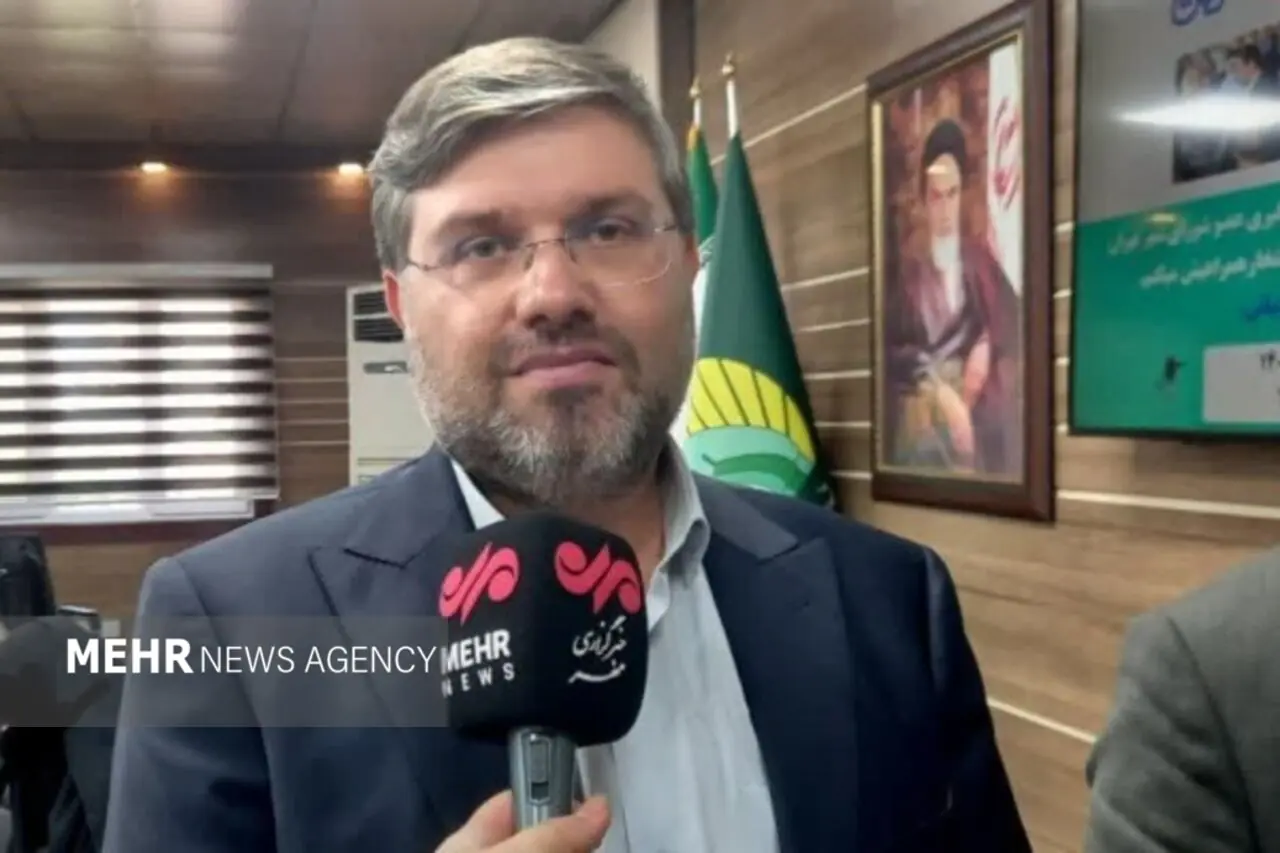 عضو شورای شهر تهران: پارکینگ ۴۵۰۰ خودرویی برای زائران ری احداث می شود