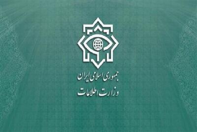 وزارت اطلاعات: دولت فرانسه پاسخگوی مداخلات دیپلماتهایش باشد