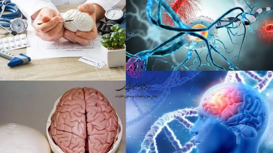 میگنا - استرس دوران کودکی چگونه در مغز ثبت میشود؟
