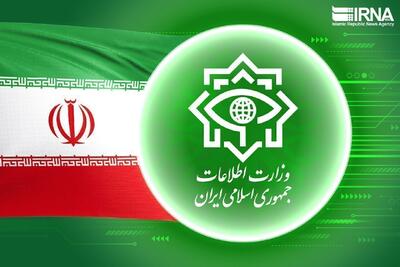 هشدار شدید وزارت اطلاعات به پاریس / دولت فرانسه پاسخگوی مداخلات دیپلماتهایش باشد