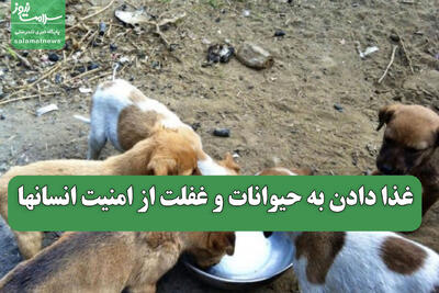  غذا دادن به حیوانات و غفلت از امنیت انسانها