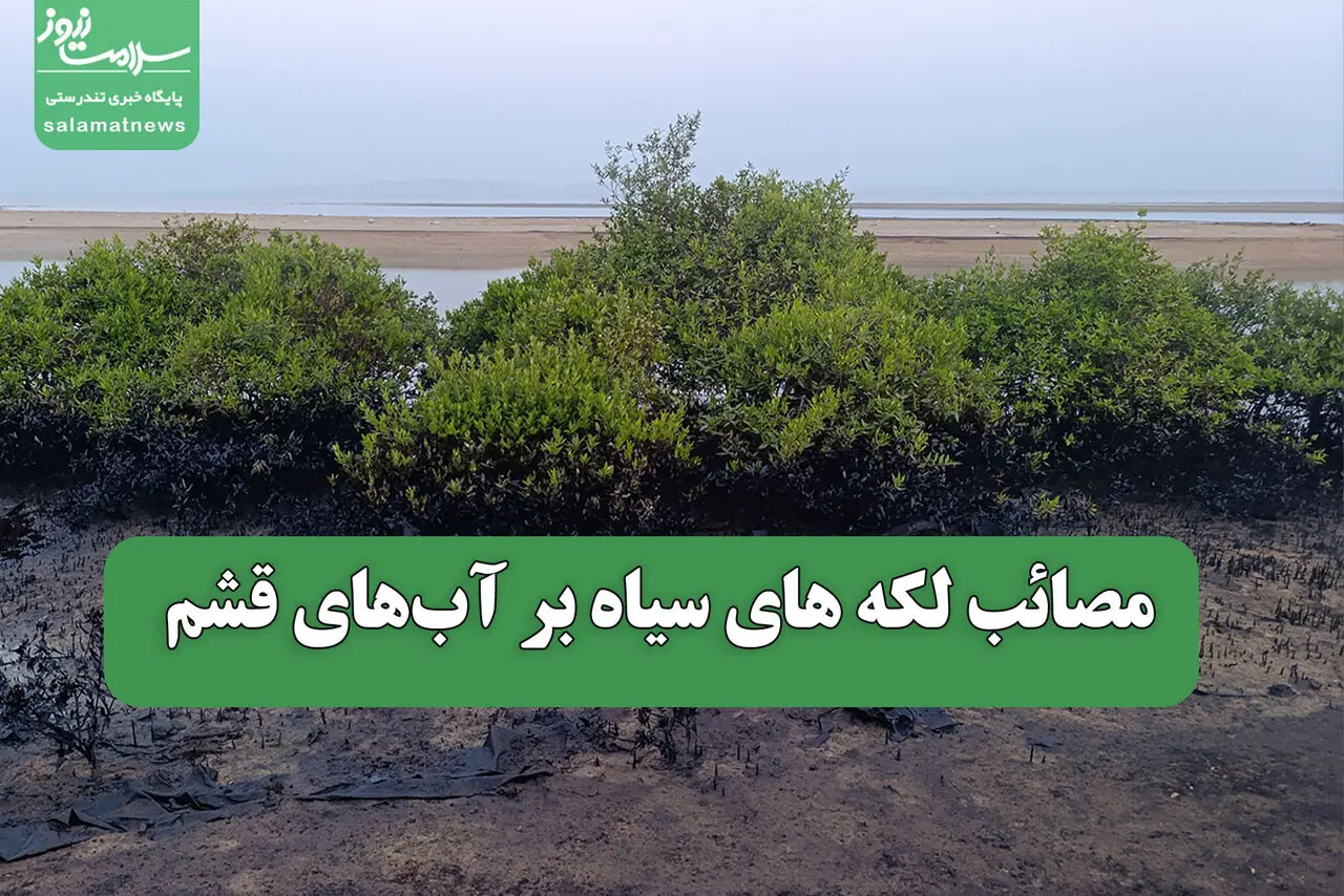 مصائب لکه های سیاه بر آبهای قشم