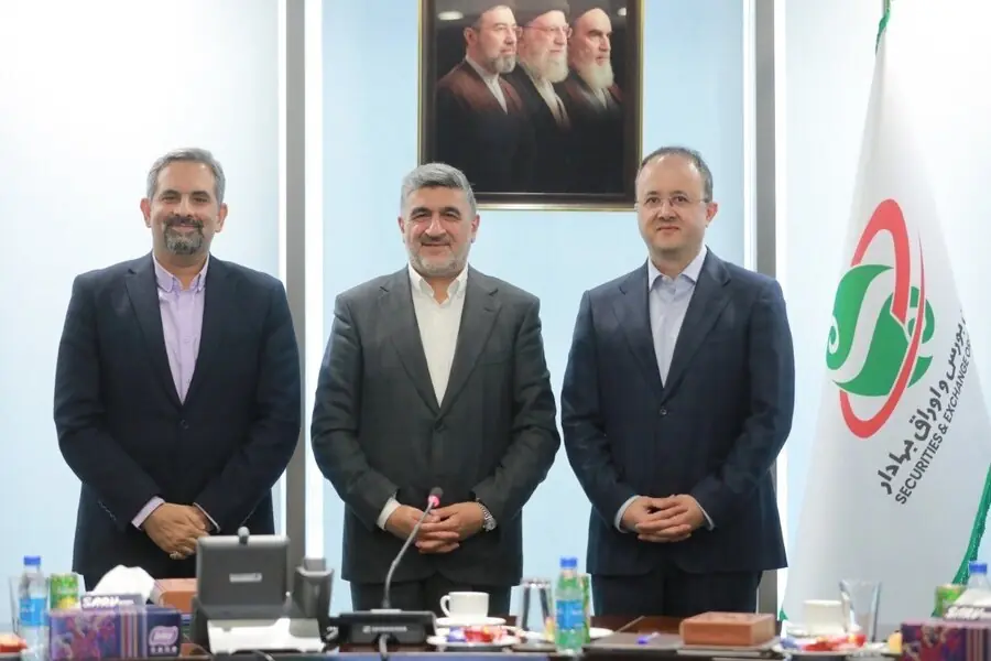 علی نیازی معاون نظارت بر نهادهای مالی سازمان بورس شد