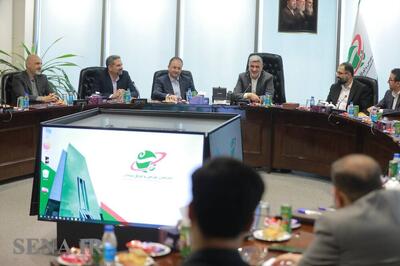  علی نیازی معاون نظارت بر نهادهای مالی سازمان بورس شد