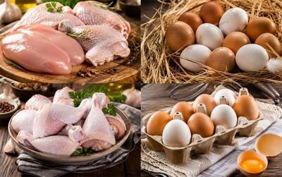 قیمت جدید گوشت مرغ و تخم مرغ امروز شنبه 24 مرداد ۱۴۰۵؛ فیله 720 هزار تومان!