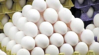 قیمت جدید هر شانه تخم مرغ اعلام شد + جدول