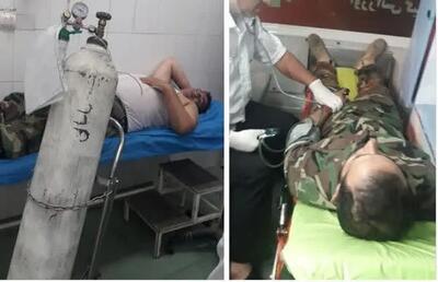 ضارب جنگلبان چالوسی پس از یک هفته دستگیر شد