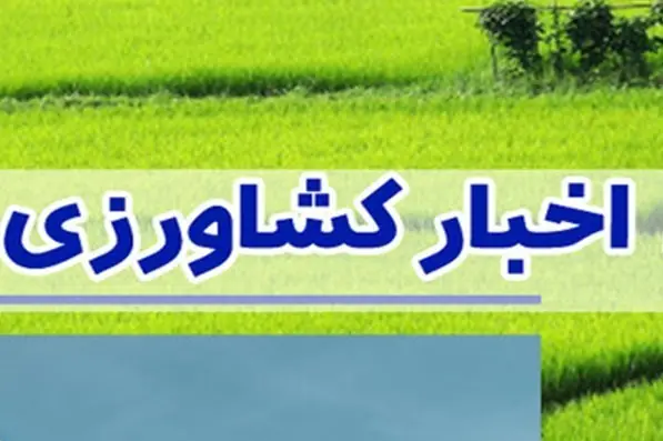 فارس؛ از مقابله با تغییر کاربری تا خودکفایی گوشت - تسنیم