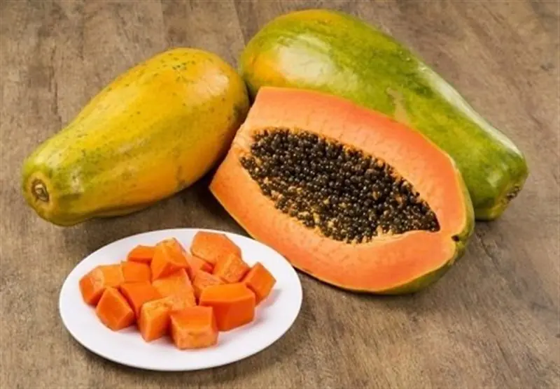 پاپایاهای ایرانی از دل شمال به بازار رسیدند؛ روایت یک کارآفرینی متفاوت - تسنیم