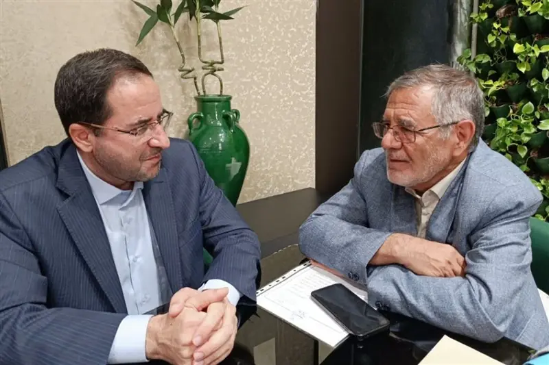 دعوت رئیس منابع طبیعی از مردم برای مشارکت در طرح آبخیز دلیجان - تسنیم