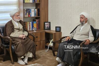 بررسی ظرفیتها و مسائل بخش دلبران با حضور نماینده ولیفقیه در کردستان - تسنیم