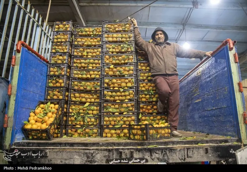راهاندازی نخستین بازارچه «خودرو شهر میوه» در کرمان - تسنیم