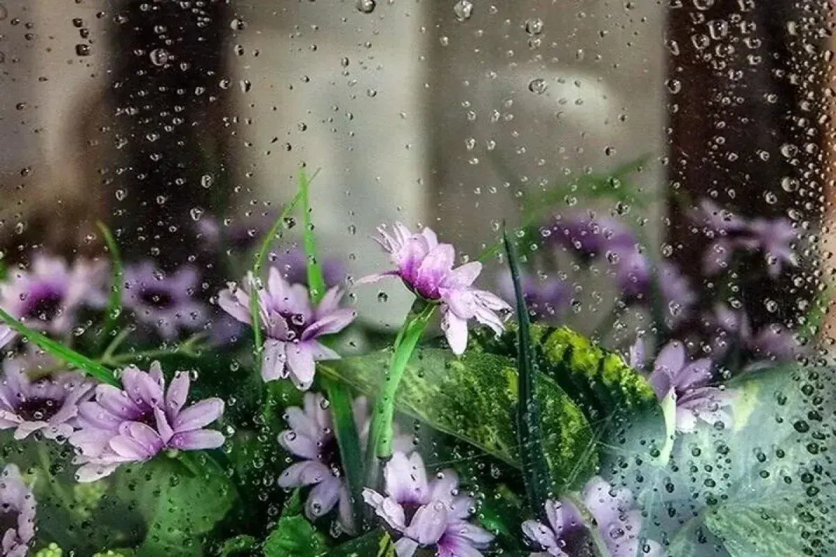 رگبار باران و رعدوبرق در ۷ استان