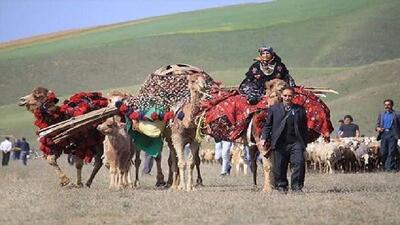 چتر بیمه بر سر روستائیان و عشایر لرستان؛ ۱۳ هزار و ۵۰۰ مادر رایگان بیمه شدند