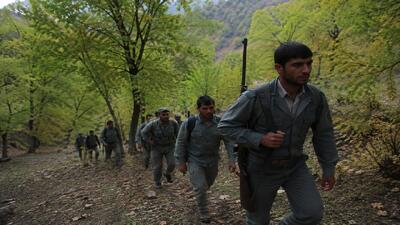 بحران پشت آمارهای سبز؛ کاهش حریق در لرستان اما جنگلها هنوز بیدفاعاند