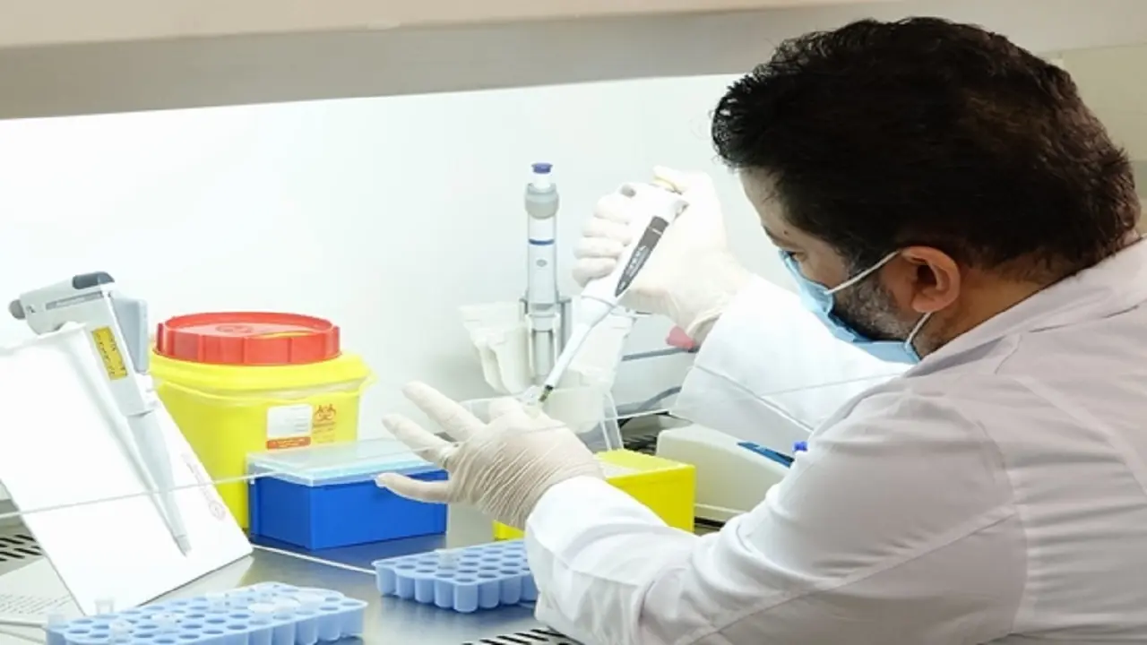 افشای گوشتهای تقلبی با فناوری DNA در قم