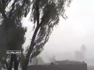 خسارت ۲۴۰ میلیاردی به نخیلات جیرفت در پی بارندگی و طوفان