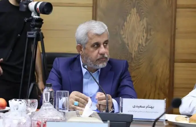 بهنام سعیدی: سرمایهگذاریهای گروه مالی گردشگری آینده توسعه و اشتغال کرمان را تضمین میکند
