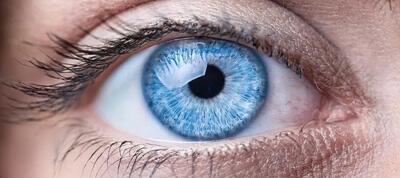  چه بخوریم تا کمتر درگیر دردسرهای چشمی شویم