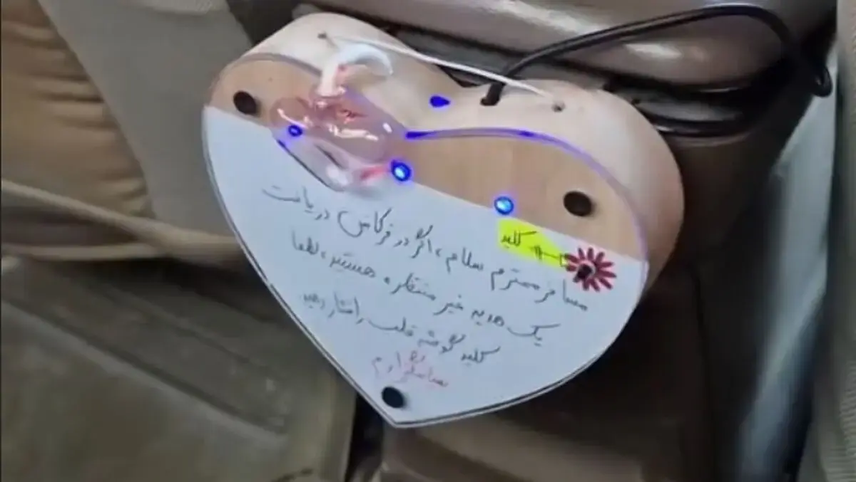 تبلیغ خلاقانه یک راننده اسنپ که حسابی مورد توجه قرار گرفت!