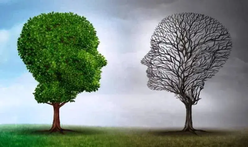 آغاز اجرای آزمونهای جامع سلامت روان دانشآموزان در زنجان