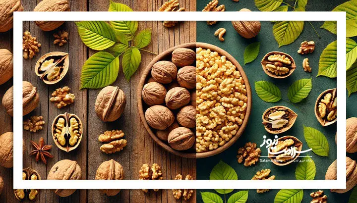 شرایط بهینه برای نگهداری گردو و حفظ کیفیت آن
