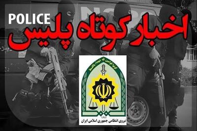 کشف زمینخواری ۵۷۰ میلیارد ریالی در حومه شیراز/ قاچاقچی سلاح جنگی به دام افتاد
