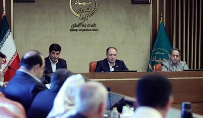هماندیشی وزیر جهاد و تولیدکنندگان برای مدیریت مازاد مرغ