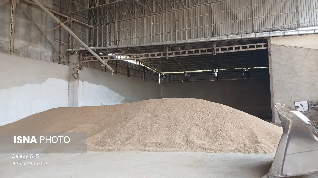 خرید بیش از ۱۴۰ هزار تن گندم در مراکز خرید شبکه تعاون روستای آذربایجان غربی