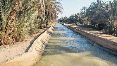 حقابه مارون، نفس تازه نخلستانهای خوزستان