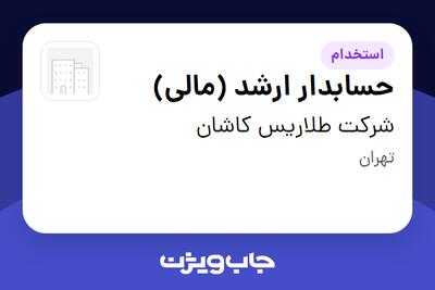 استخدام حسابدار ارشد (مالی) در شرکت طلاریس کاشان