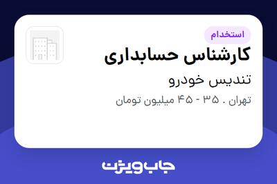  استخدام کارشناس حسابداری - خانم در تندیس خودرو