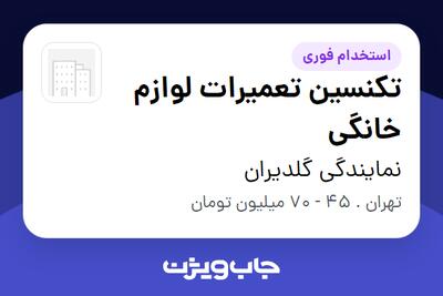 استخدام تکنسین تعمیرات لوازم خانگی - آقا در نمایندگی گلدیران