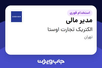 استخدام مدیر مالی در الکتریک تجارت اوستا