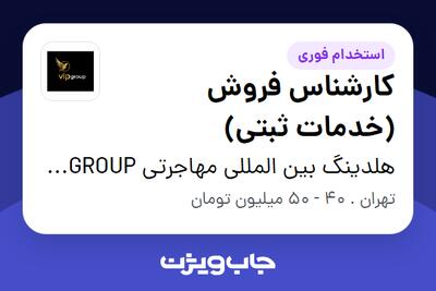 استخدام کارشناس فروش (خدمات ثبتی) در هلدینگ بین المللی مهاجرتی VIP GROUP