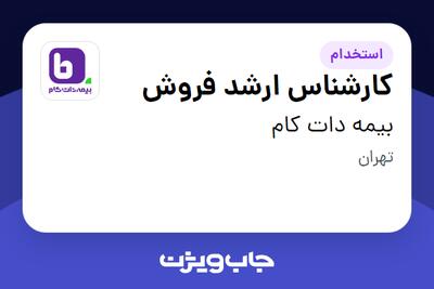  استخدام کارشناس ارشد فروش در بیمه دات کام