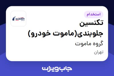  استخدام تکنسین جلوبندی(ماموت خودرو) - آقا در گروه ماموت