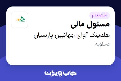 استخدام مسئول مالی - آقا در هلدینگ آوای جهانبین پارسیان