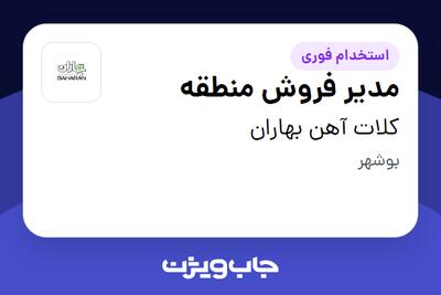  استخدام مدیر فروش منطقه - آقا در کلات آهن بهاران
