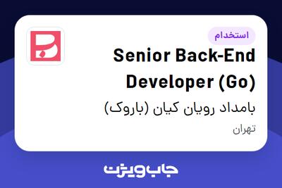 استخدام Senior Back-End Developer (Go) در بامداد رویان کیان (باروک)