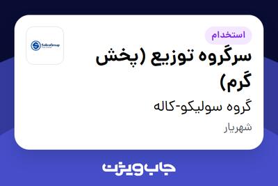  استخدام سرگروه توزیع (پخش گرم) - آقا در گروه سولیکو-کاله