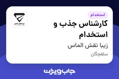 استخدام کارشناس جذب و استخدام - آقا در زیبا نقش الماس