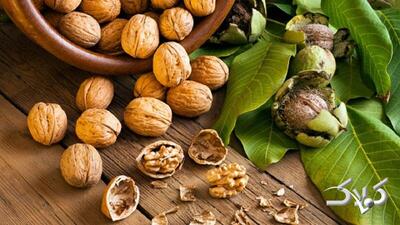  گردو را کجا نگهداریم؟ یخچال یا فریزر؛ کدام بهتر است؟ - مجله اینترنتی کولاک