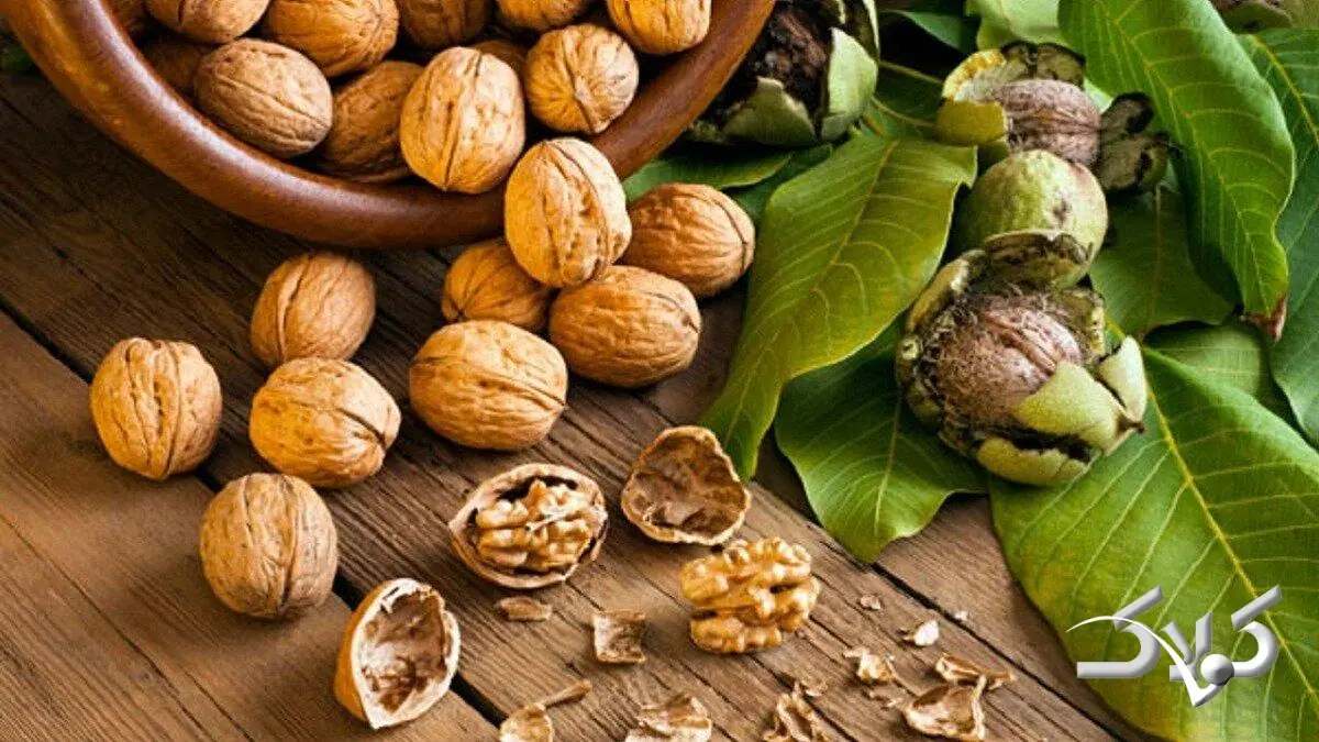 گردو را کجا نگهداریم؟ یخچال یا فریزر؛ کدام بهتر است؟ - مجله اینترنتی کولاک