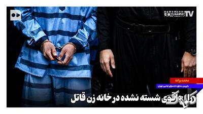 راز چاقوی شسته نشده در خانه زن قاتل - مجله اینترنتی کولاک