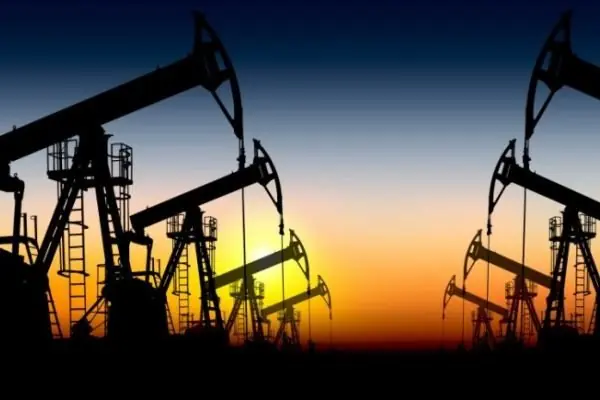 پایداری اقتصادی،امنیت ملی و توسعه کشور در گرو رهایی از خامفروشی است