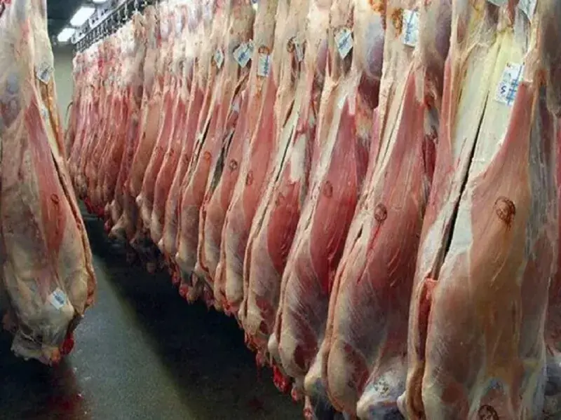 قیمت گوشت قرمز امروز ۲۵ مرداد ۱۴۰۵