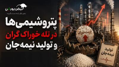 پتروشیمیها در تله خوراک گران و تولید نیمهجان
